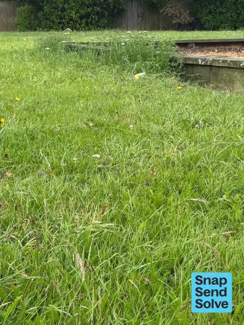 Overgrown Vegetation — a report photo