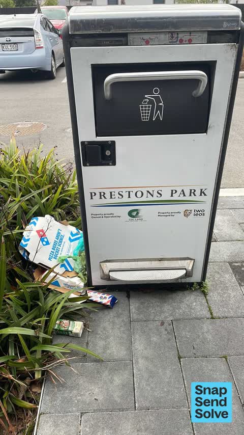 Rubbish and Bins - General, a report photo