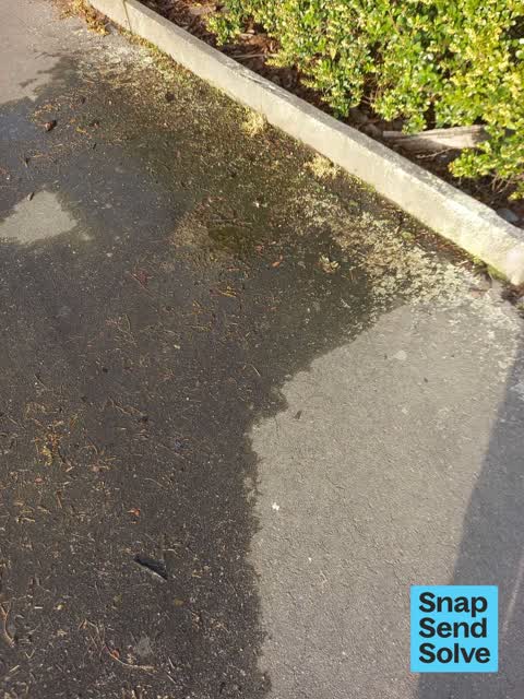 Street Gutters / Storm Water, a report photo