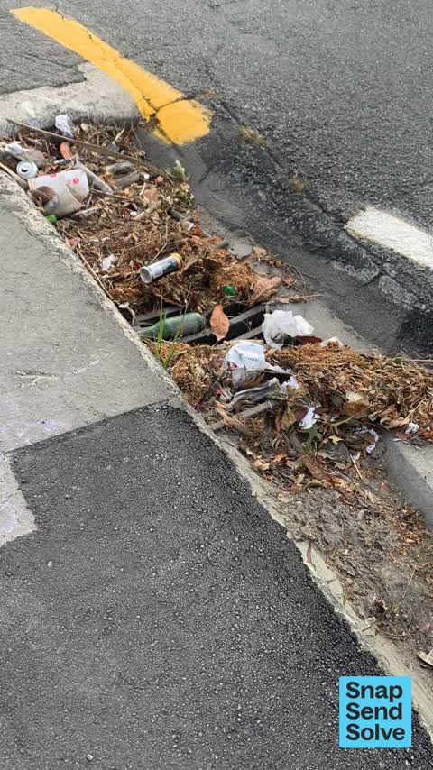 Litter, a report photo