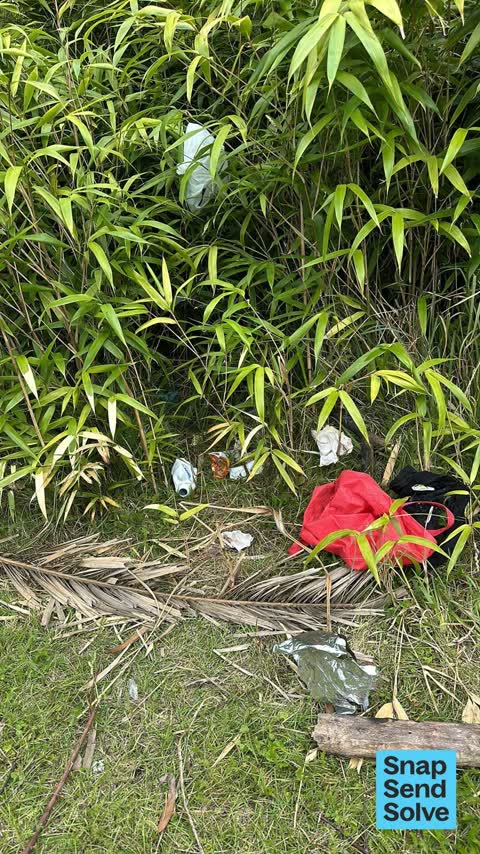 Park - General Request, a report photo