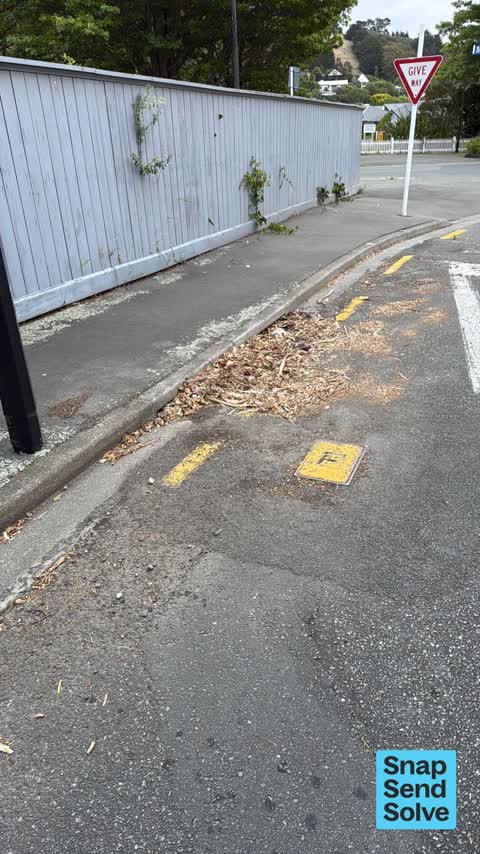 Street Cleaning, a report photo