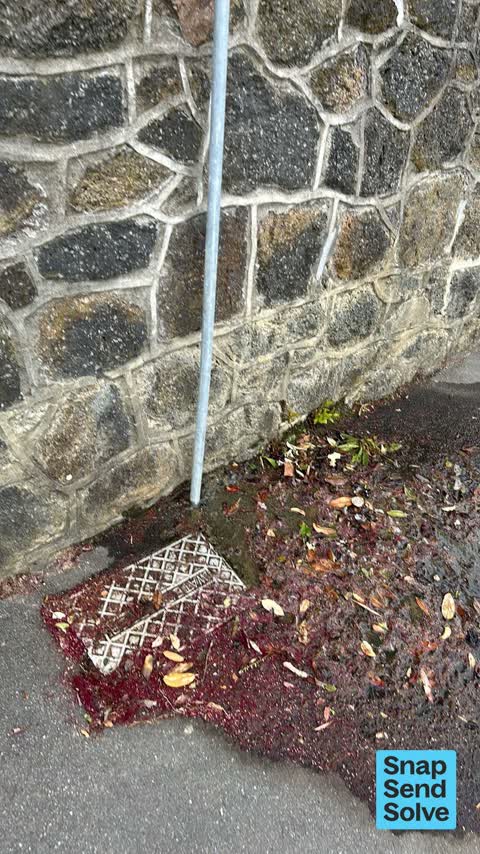 Water Leak, a report photo