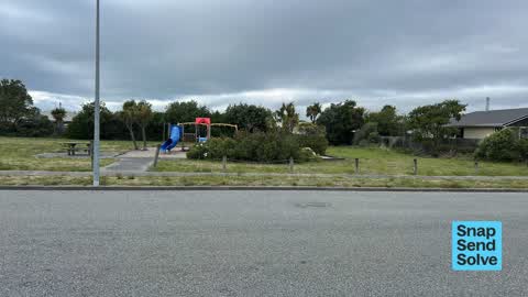 Overgrown Vegetation — a report photo