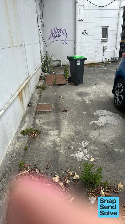Overgrown Vegetation, a report photo