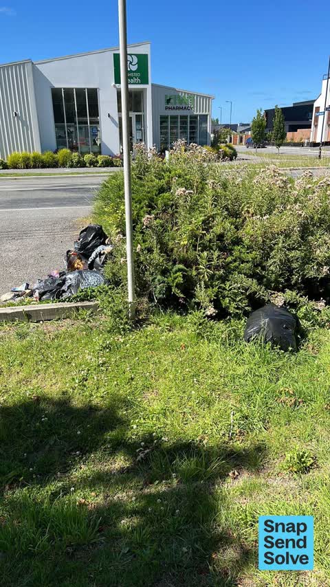 Litter — a report photo