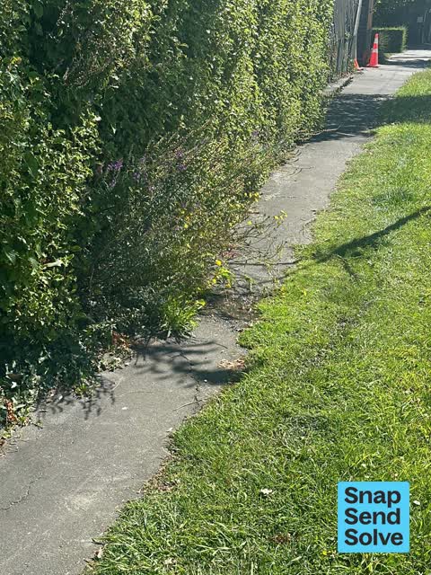 Water Leak, a report photo