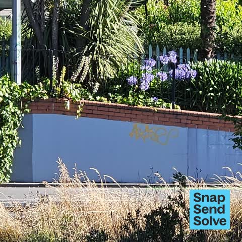 Graffiti on a fence, building or structure — a report photo