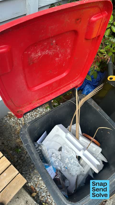 Rubbish and Bins - General, a report photo