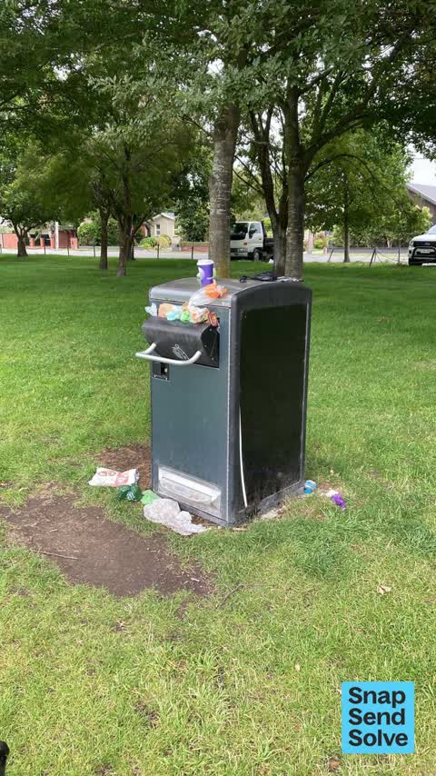 Rubbish and Bins - General, a report photo