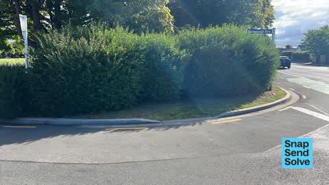 Overgrown Vegetation, a report photo