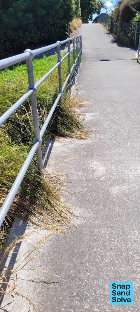 Overgrown Vegetation — a report photo