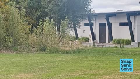 Overgrown Vegetation — a report photo