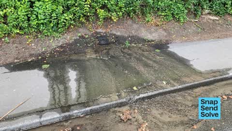 Sewer - Leak / Blockage — a report photo