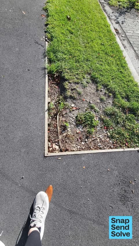 Pavement - Damaged, a report photo