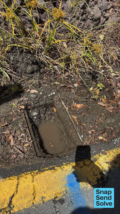 Water Leak, a report photo