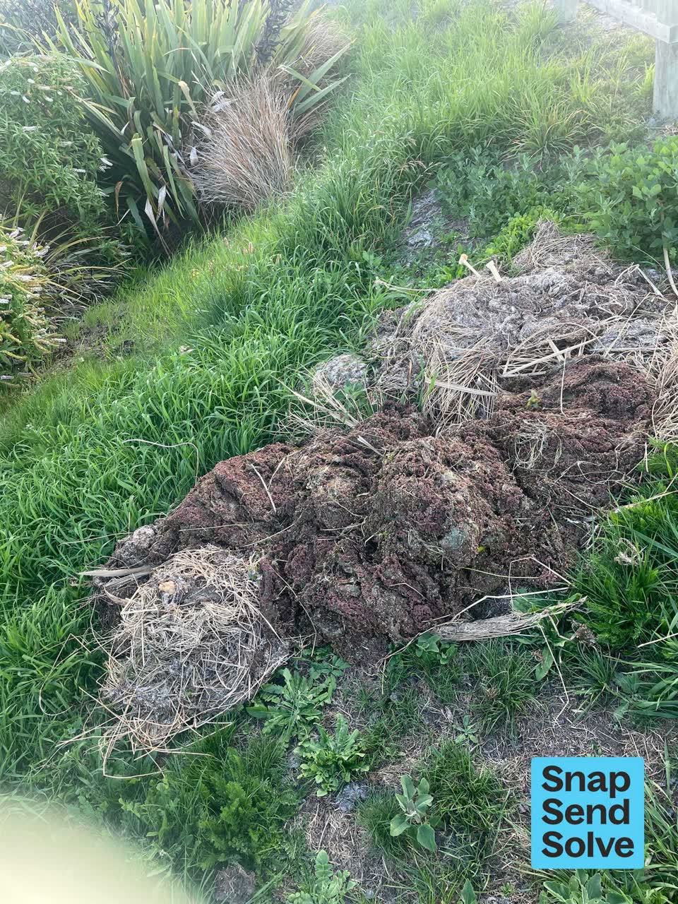 The photograph attached to this overgrown vegetation report