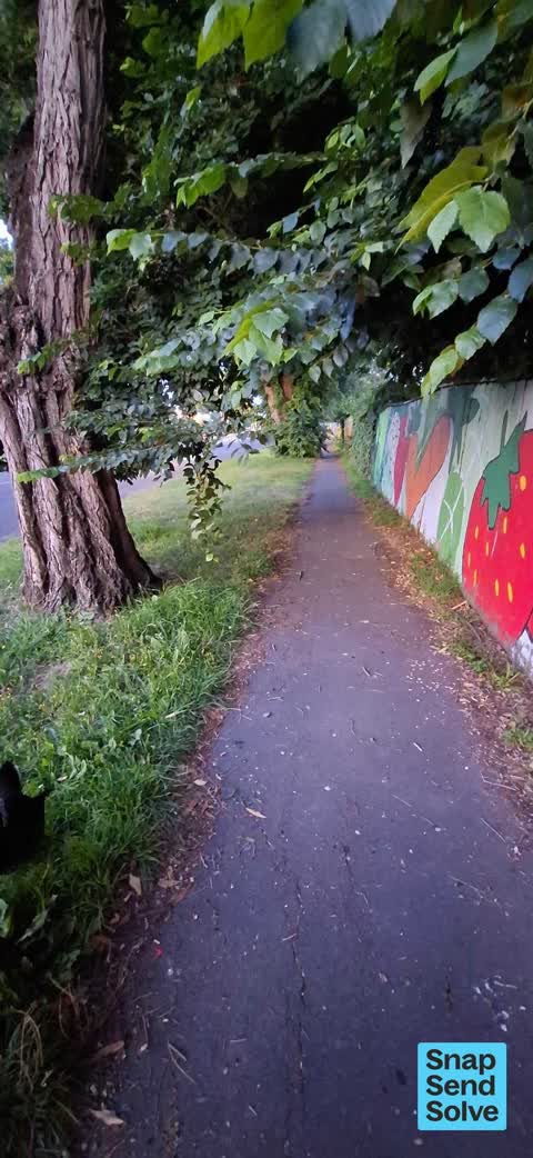 Overgrown Vegetation, a report photo