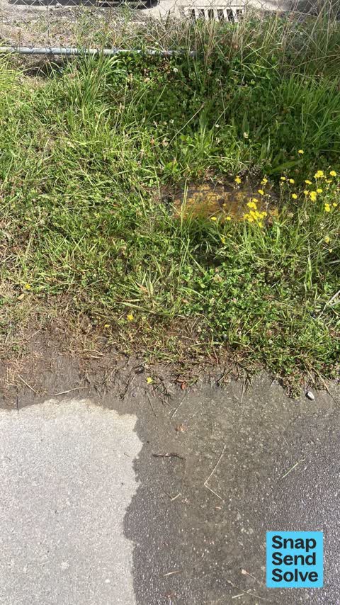 Water Leak, a report photo