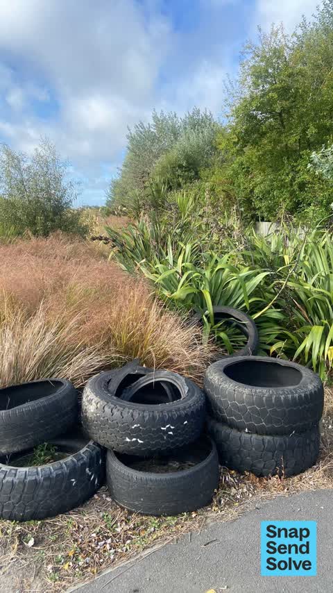 Dumped Rubbish, a report photo