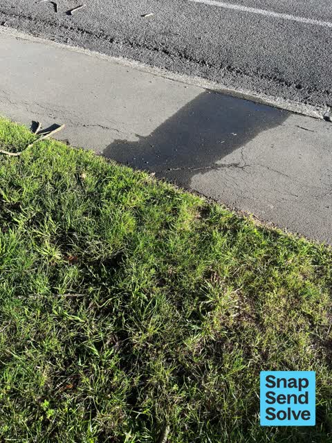 Water Leak, a report photo