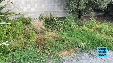 Facility - General Request, a report photo