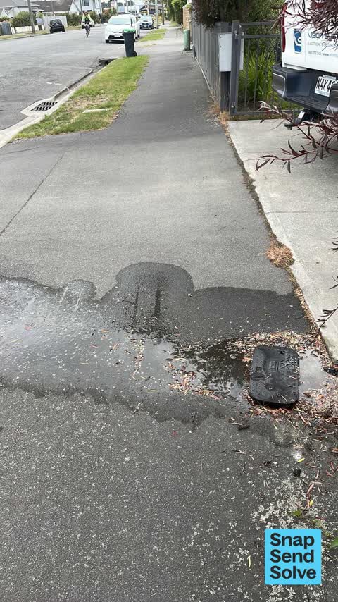 Water Leak, a report photo