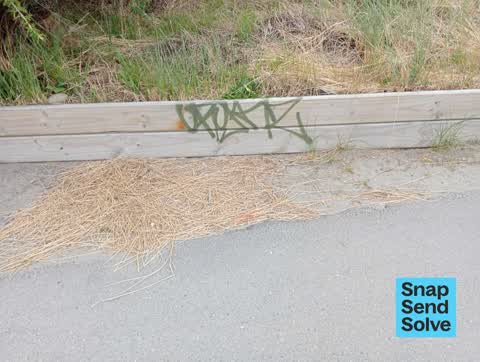 Graffiti somewhere else, a report photo