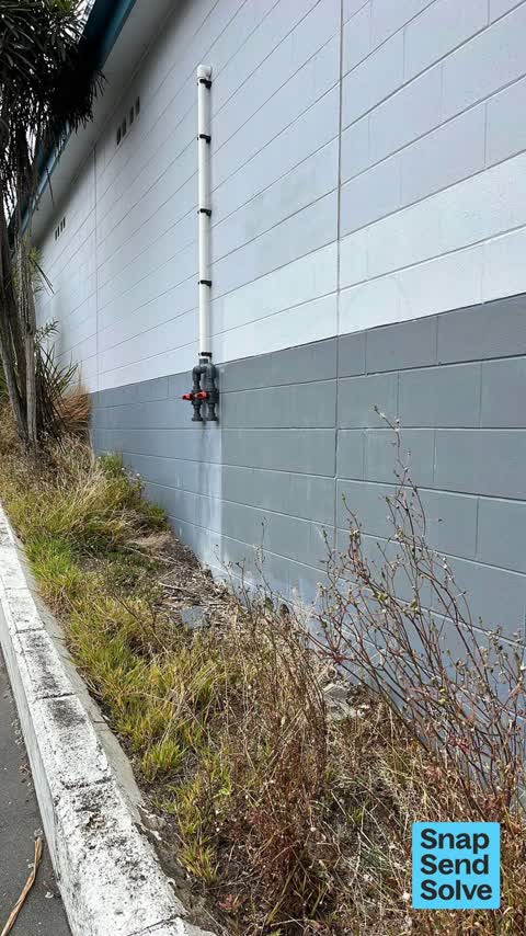 Overgrown Vegetation, a report photo