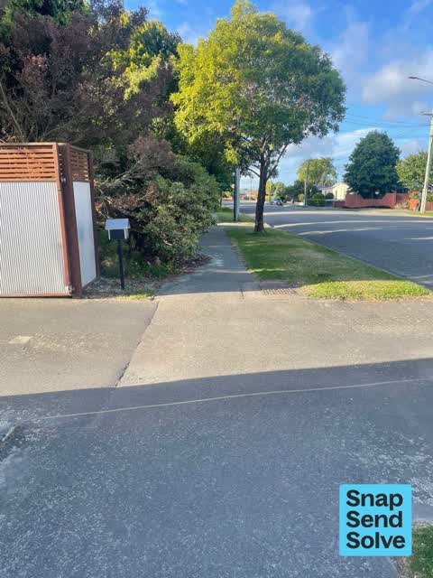 Overgrown Vegetation, a report photo