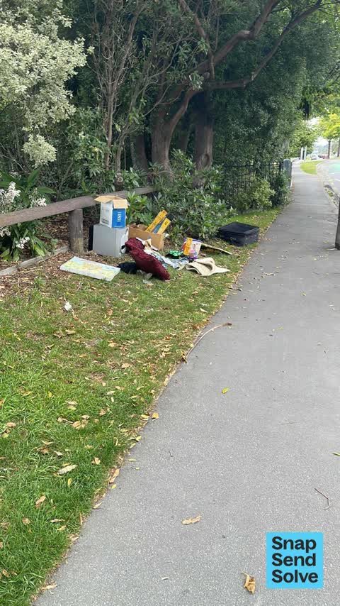 Dumped Rubbish — a report photo