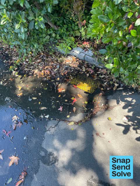 Water Leak, a report photo