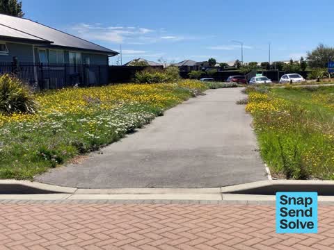 Overgrown Vegetation, a report photo