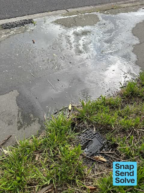 Sewer General, a report photo