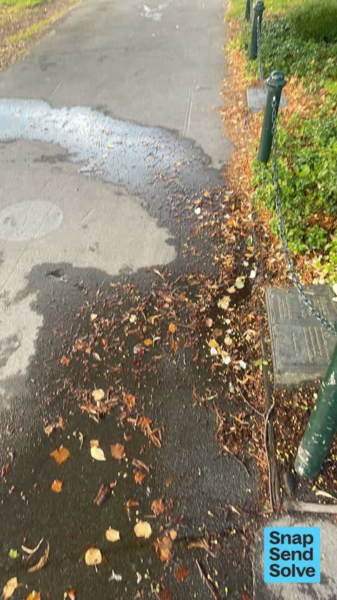 Water Leak, a report photo