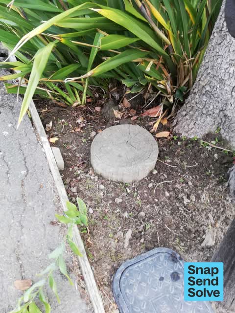 Water Leak, a report photo