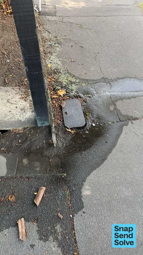 Water Leak, a report photo