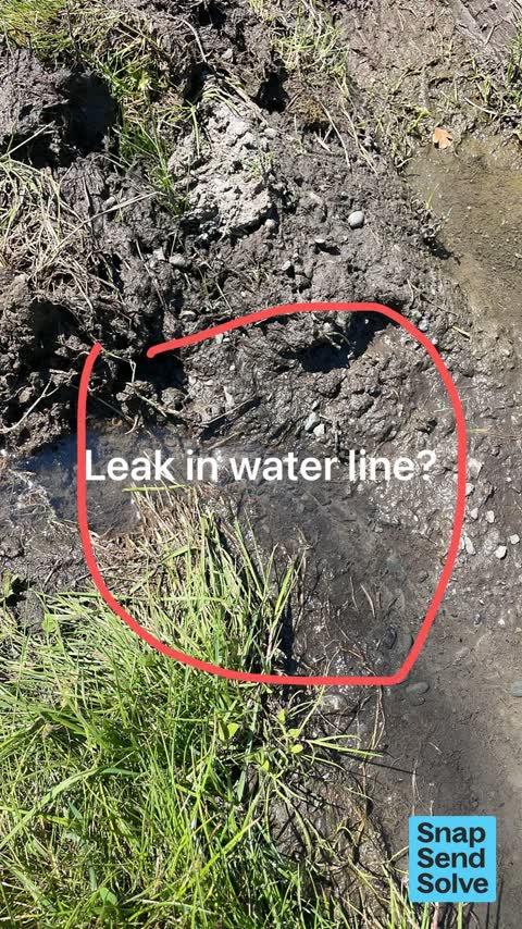 Water Leak, a report photo
