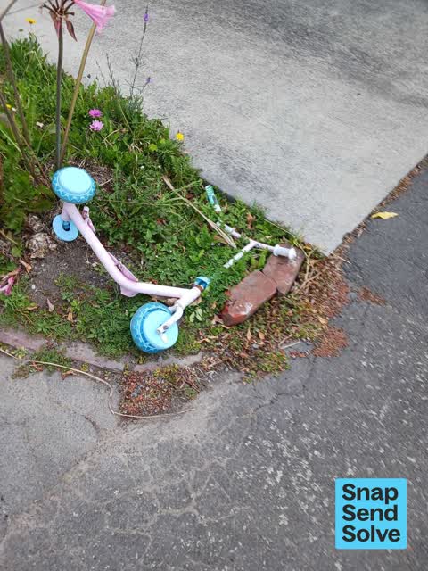 Dumped Rubbish, a report photo
