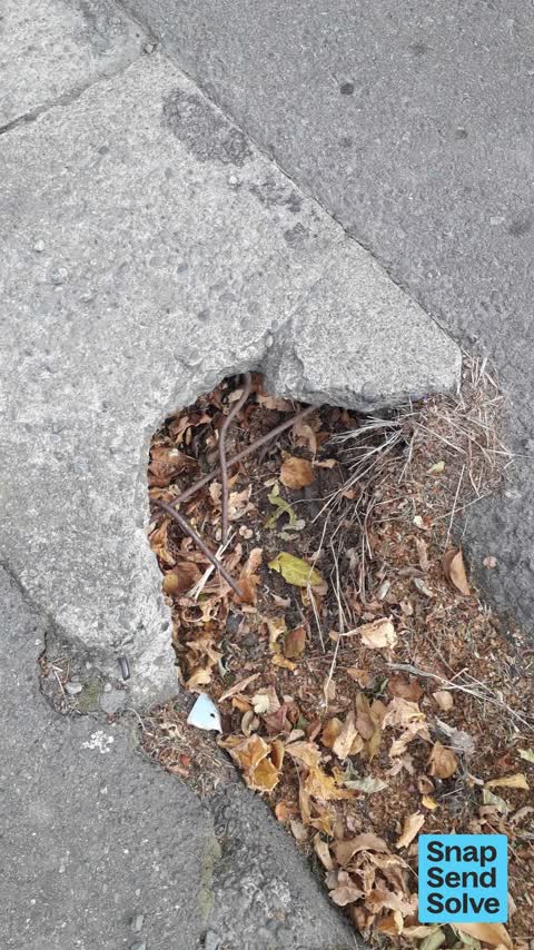 Pavement - Damaged, a report photo