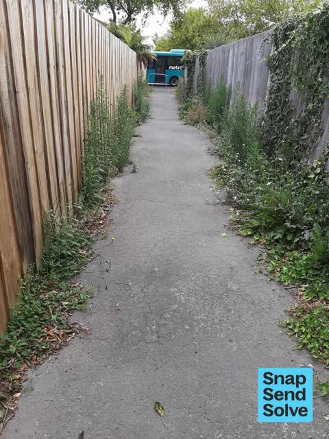 Overgrown Vegetation, a report photo