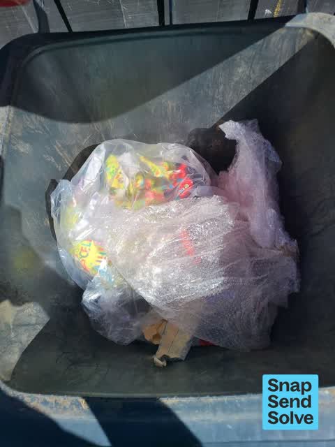 Rubbish and Bins - General, a report photo