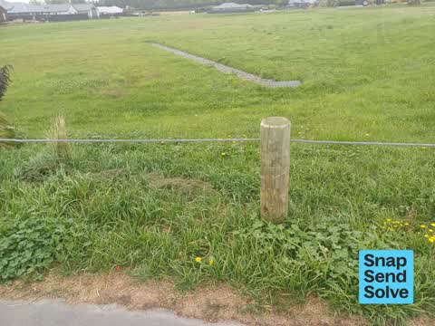 Overgrown Vegetation, a report photo