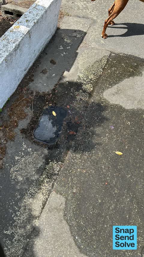 Water Leak, a report photo