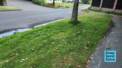 Water Leak, a report photo