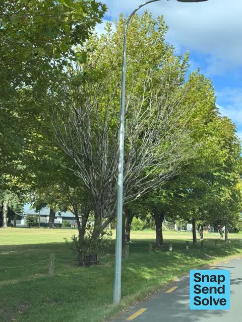 Park - General Request, a report photo