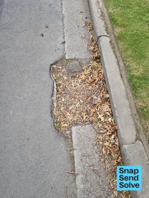 Street Gutters / Storm Water, a report photo