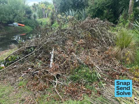 Overgrown Vegetation, a report photo