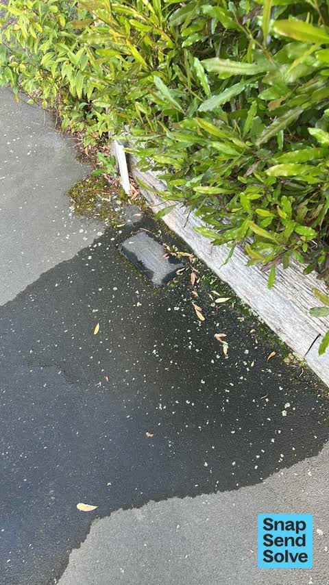 Water Leak, a report photo