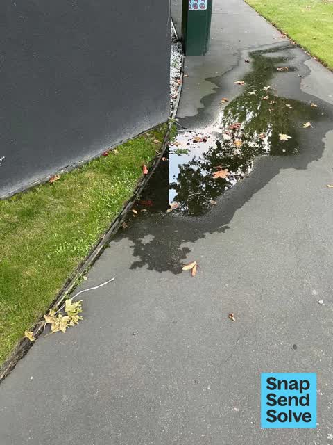 Water Leak, a report photo